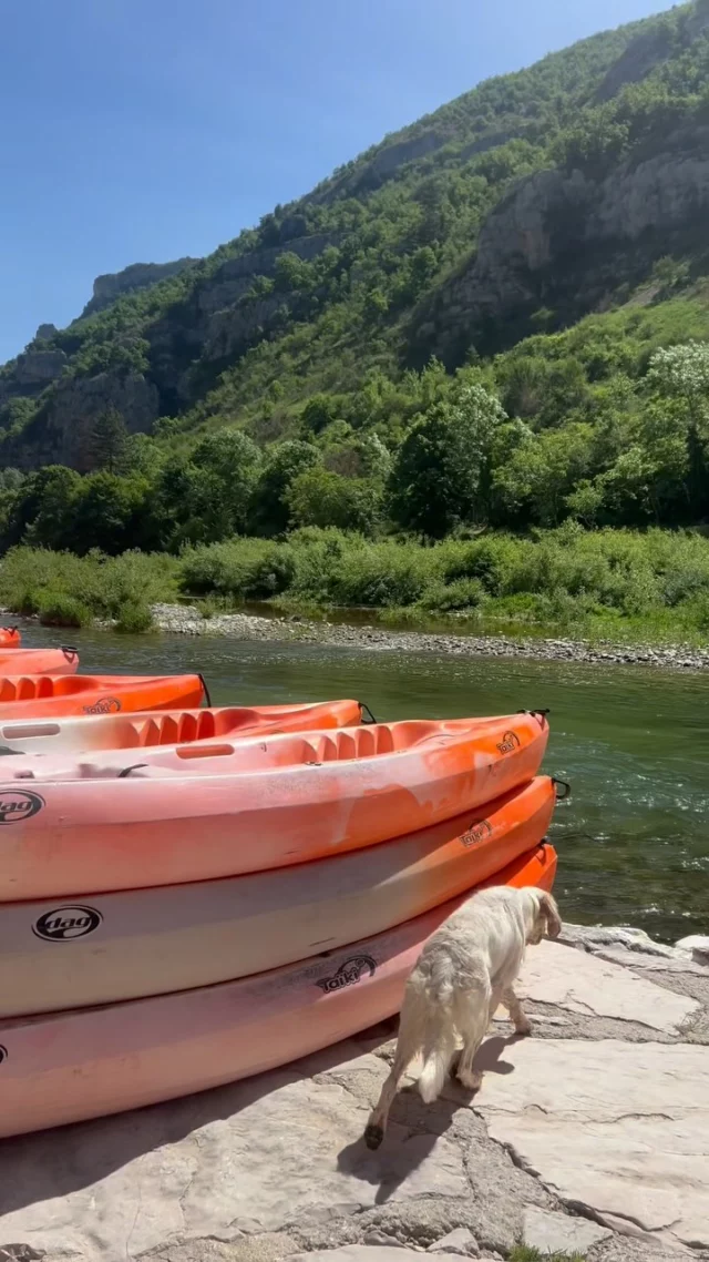 Canoë ou kayak ? 🛶
 Parce qu’on ne sait pas toujours qui est qui 🙃
👉 Au Moulin de La Malène, nous proposons les deux (et même des paddles) ! 
Que tu sois plus pagaie simple ou pagaie double, il y a forcément une embarcation faite pour toi.  Et l’essentiel, c’est surtout de profiter de cette descente entre falaises, détroits et petits coins secrets des Gorges du Tarn. 💦  📍Location de canoës et kayaks à La Malène 🧡 Depuis 1973, dans une ambiance 100 % familiale  #lozere #lozeretourisme #gorgesdutarn